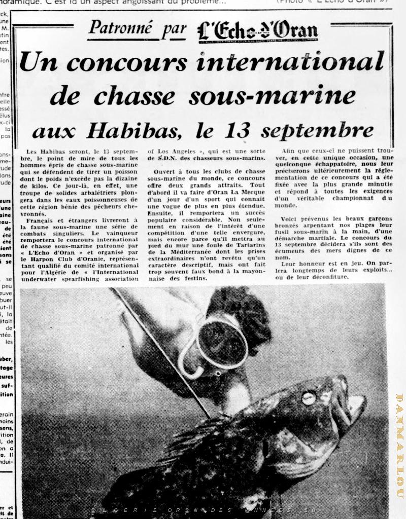 peche sous marine aux habibas.jpg